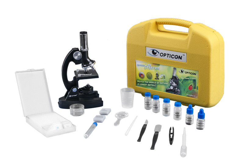 Lab Starter Lab Starter