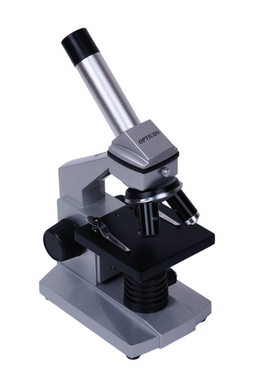 Bionic Five Bionic Five