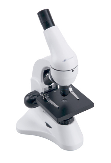 Bionic One Bionic One